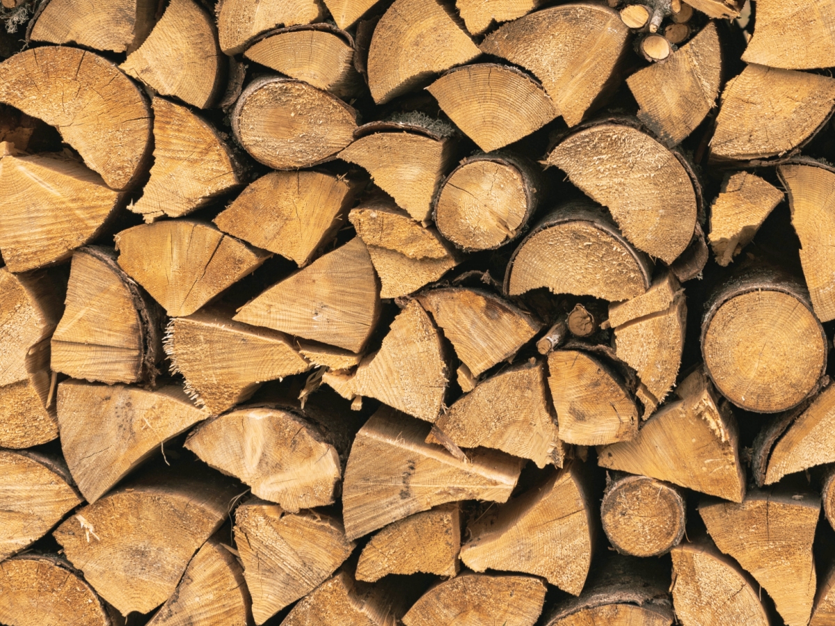 Firewood in a store, stacked